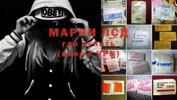 стаф Магадан