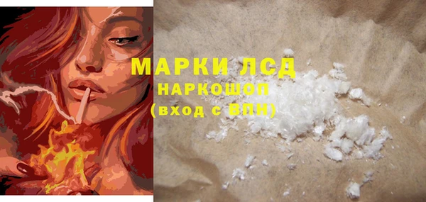 стаф Магадан
