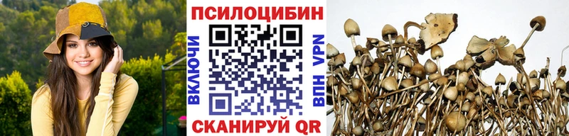 Галлюциногенные грибы GOLDEN TEACHER Комсомольск-на-Амуре